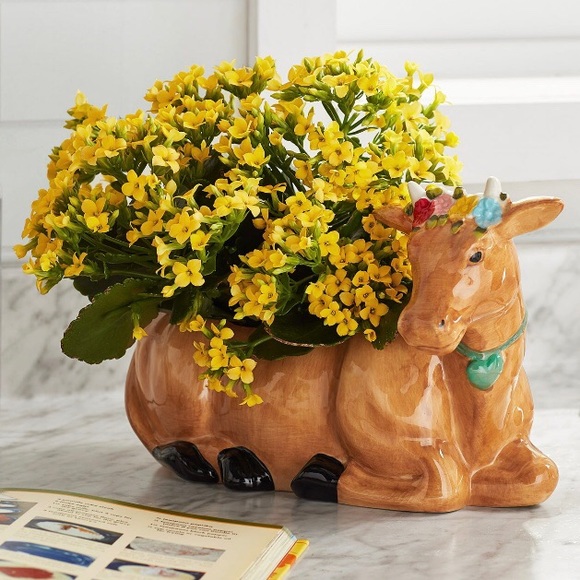 The Pioneer Woman Cow Planter NEW Country Cottagecore Decor Ceramic Flower Pot - Picture 2 of 6